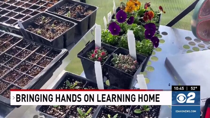 IDVA remote learning