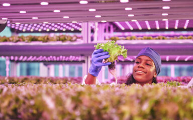 Stock image of a young black woman holding and looking at a plant under greenhouse lights.
